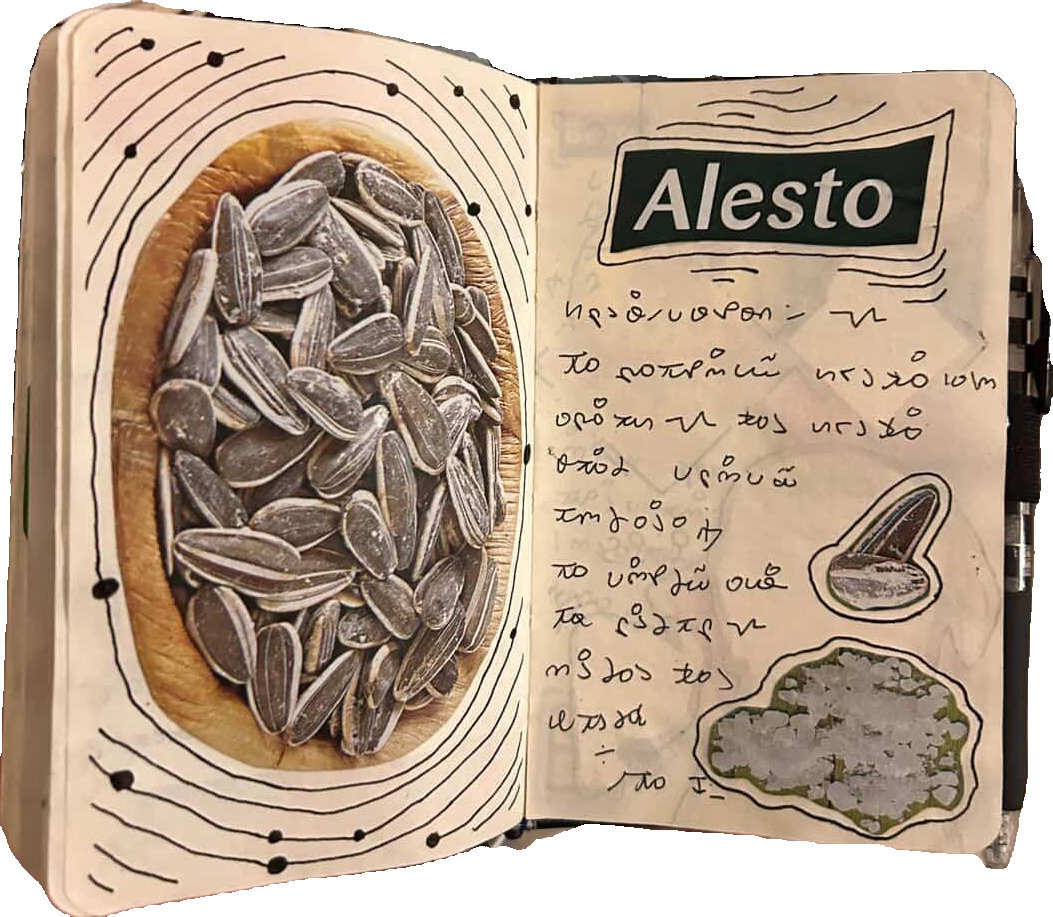 Lidlbook page 8